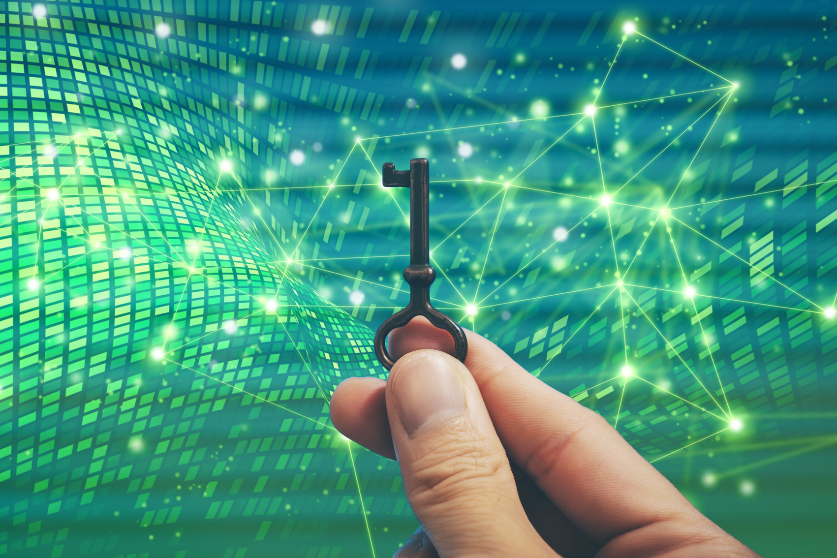 システム開発・管理部