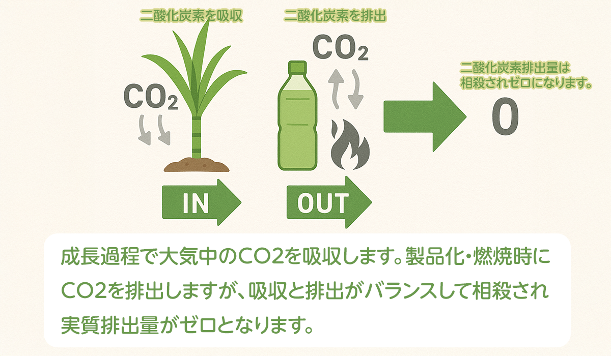 カーボンニュートラル