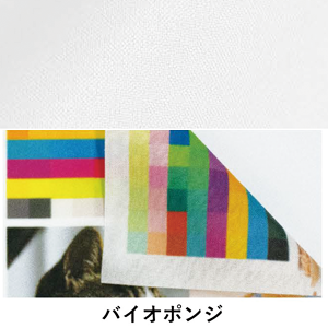 バイオマスポンジ