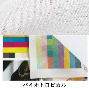 バイオマストロピカル